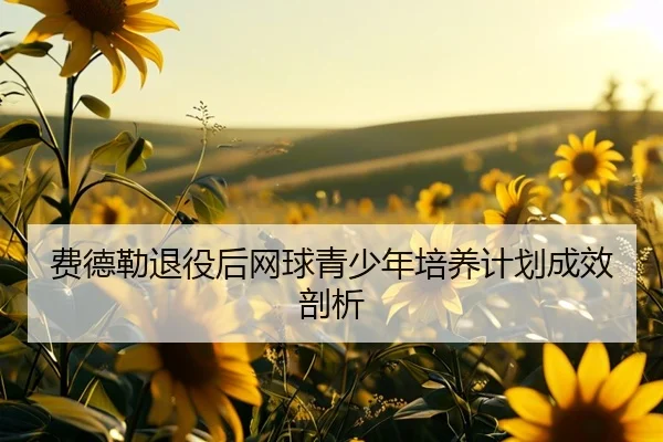 费德勒退役后网球青少年培养计划成效剖析